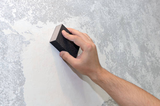 Best Mold Removal for HVAC Installations  in Paul, ID