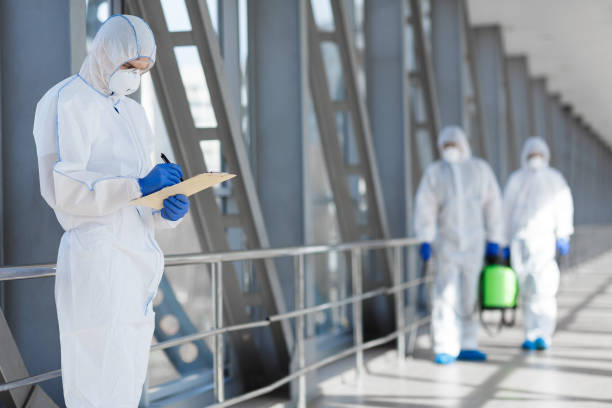 Best Mold Damage Restoration  in Paul, ID