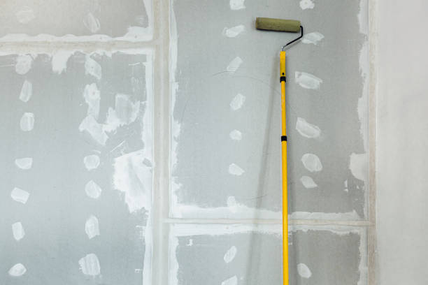 Best Real Estate Mold Inspection  in Paul, ID