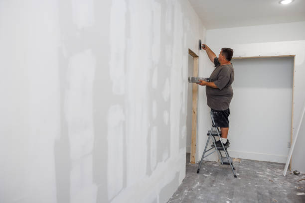 Mold Removal for HVAC Installations in Paul, ID