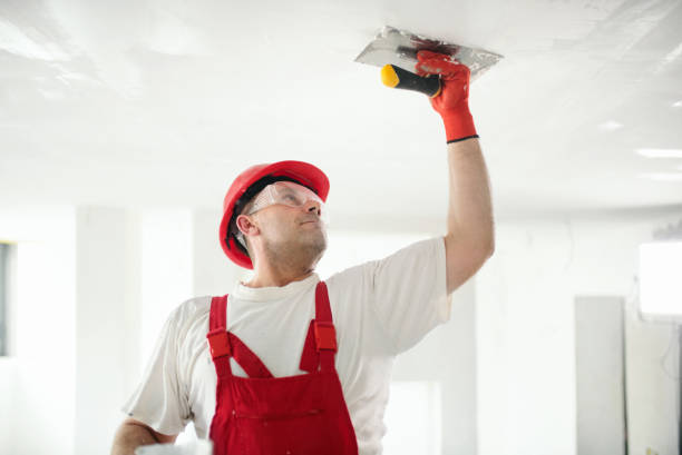 Best Industrial Mold Remediation  in Paul, ID